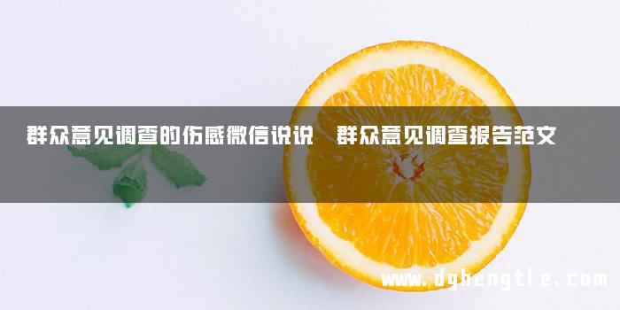 群众意见调查的伤感微信说说 群众意见调查报告范文